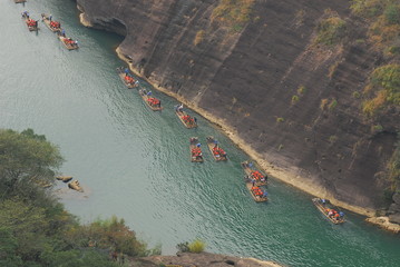 大海里都有哪些动物？