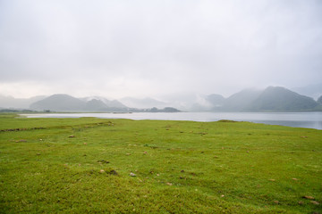 大海里都有哪些动物？