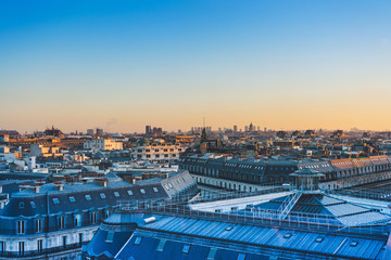 大海里都有哪些动物？