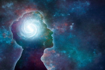 大海里都有哪些动物？