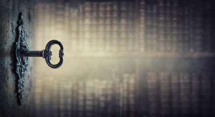 鲜花手抄报资料