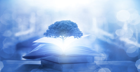 大海里都有哪些动物？