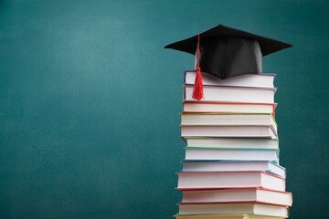 大海里都有哪些动物？