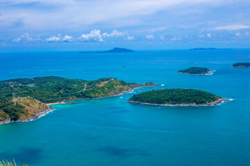 大海里都有哪些动物？