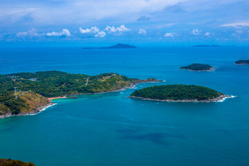 鲜花手抄报资料
