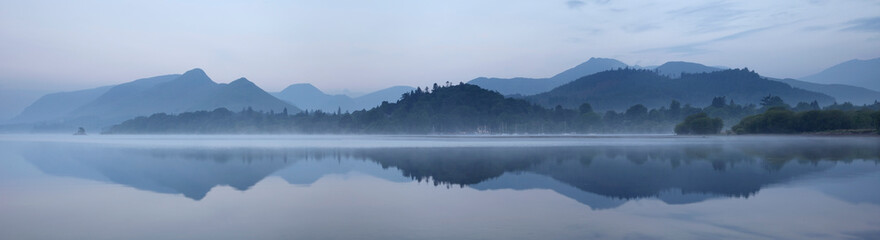 鲜花手抄报资料