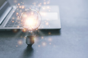 鲜花手抄报资料