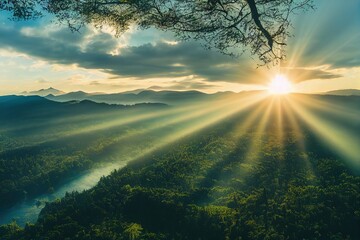 大海里都有哪些动物？