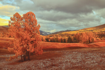 中医哲学：《黄帝内经》里的四大养生智慧