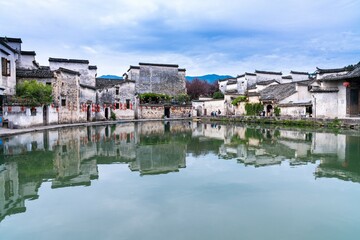 大海里都有哪些动物？