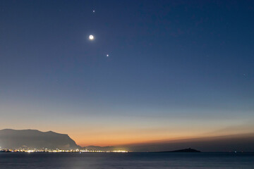 鲜花手抄报资料