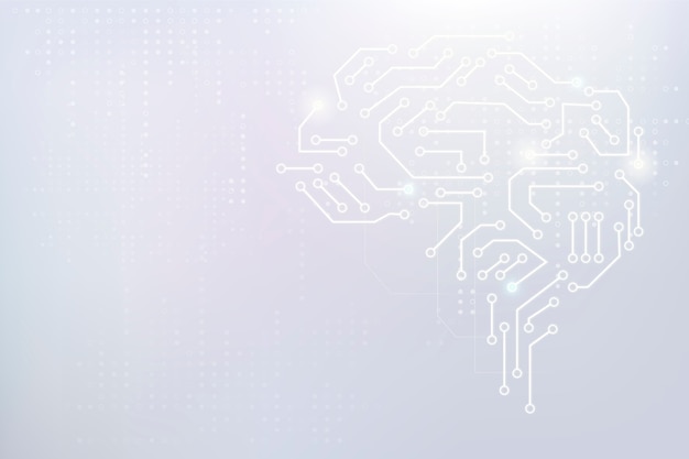 鲜花手抄报资料