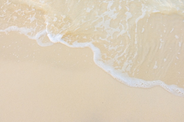 中医哲学：《黄帝内经》里的四大养生智慧