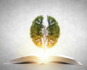 鲜花手抄报资料