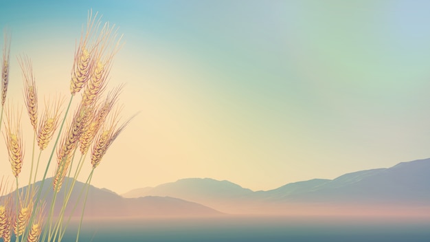 七年级英语上册课本单词含26个大写字母的单词表