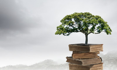 七年级英语上册课本单词含26个大写字母的单词表