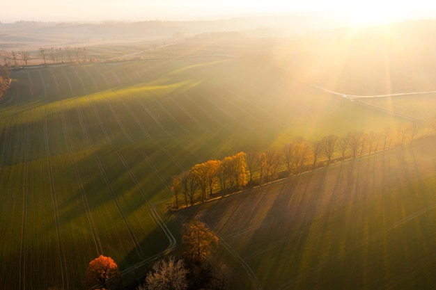 中国古代神话传说概括20字左右