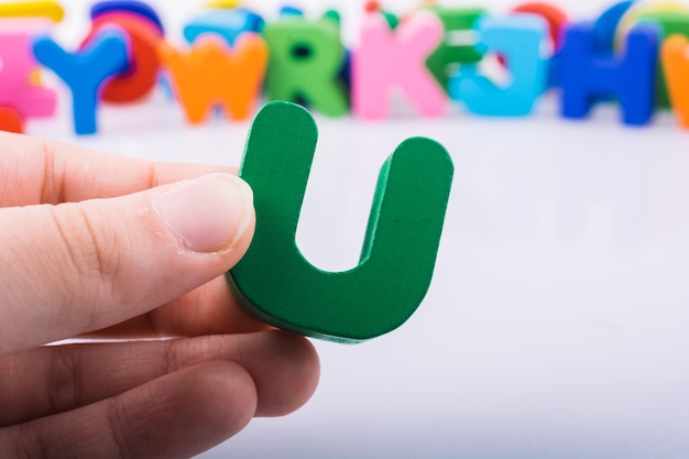 鲜花手抄报资料