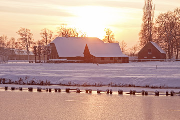 鲜花手抄报资料